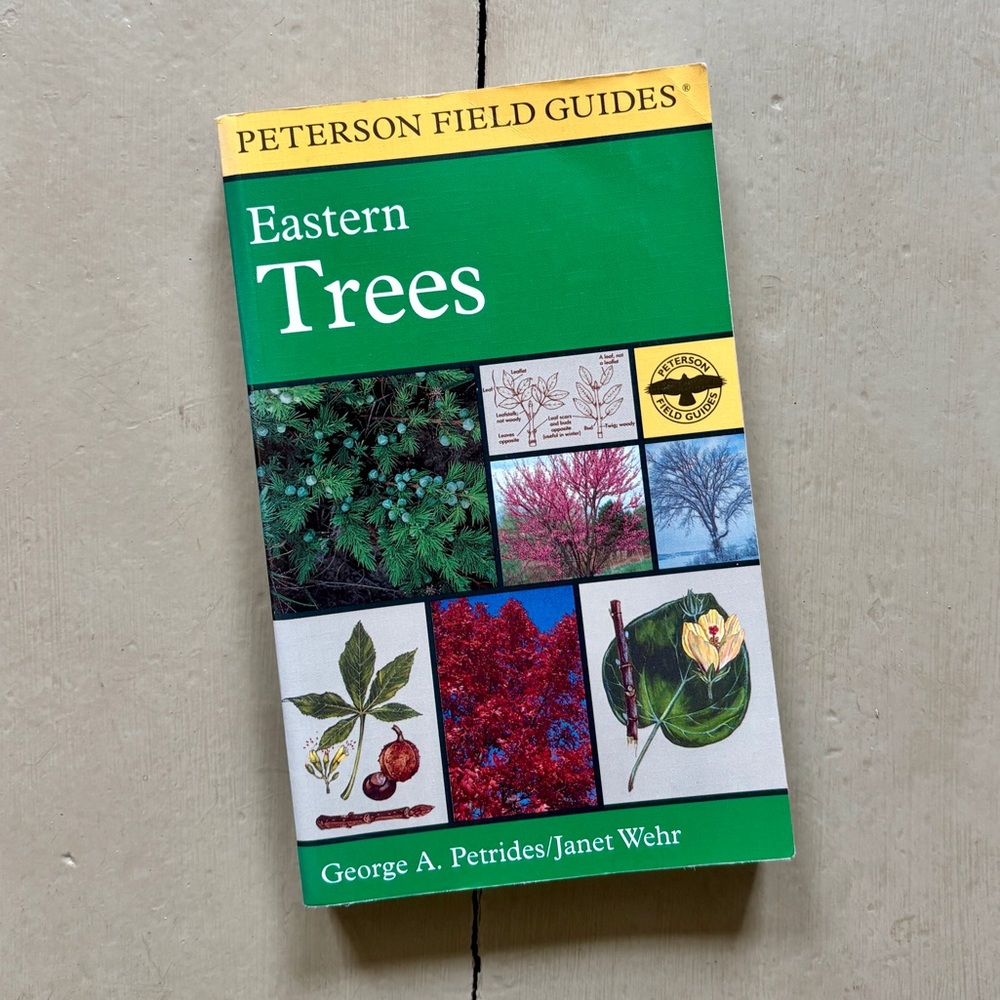 1998 Eastern Trees Peterson Field Guides Naturalist Fir Pine Oak Botany Nature